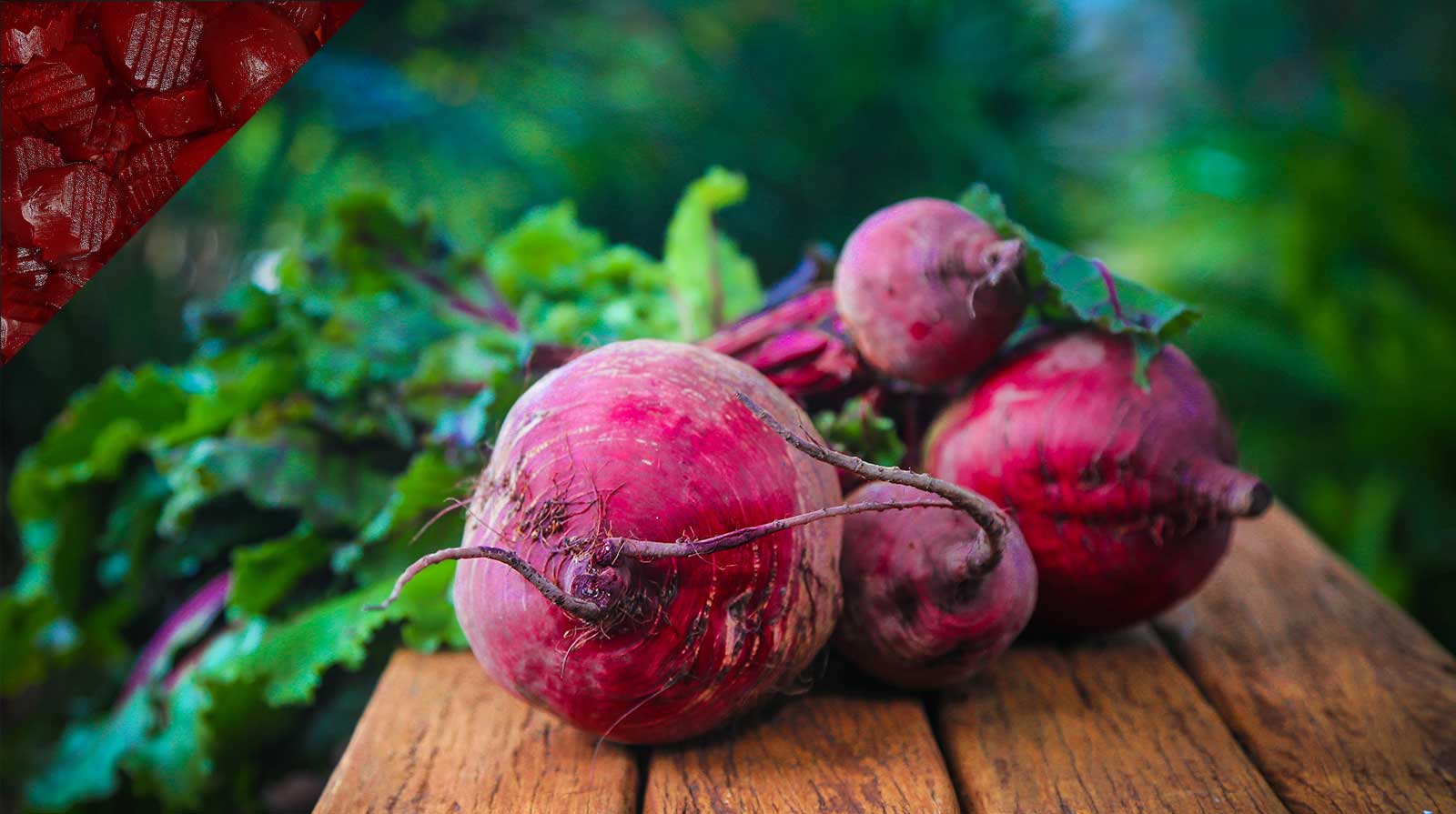 Rote Bete (auch bekannt als Rote Beete)