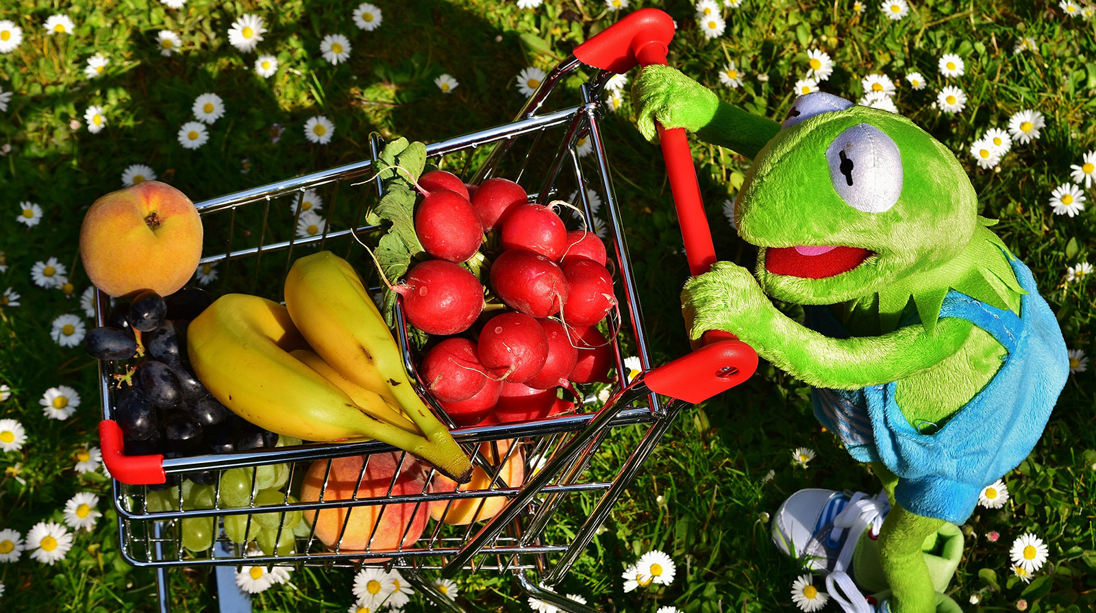 Obst und Gemüse essen können Kinder lernen